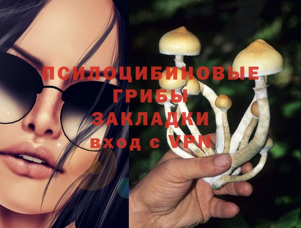 мяу мяу мука Белокуриха
