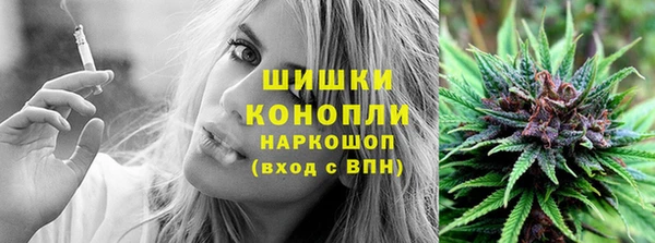 мяу мяу мука Белокуриха
