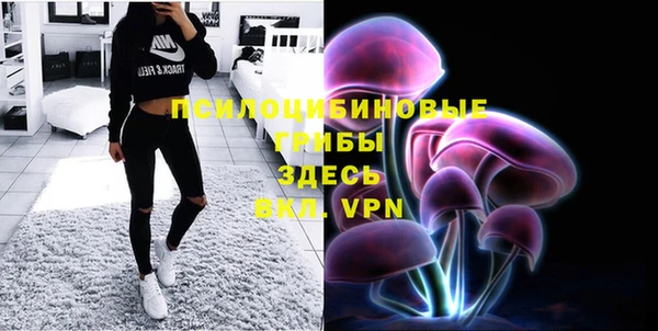 мяу мяу мука Белокуриха